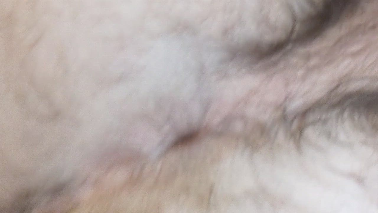 Anal Anal Play Butt Plug Gay gif