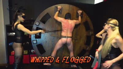 mistress pain torture whipping gif