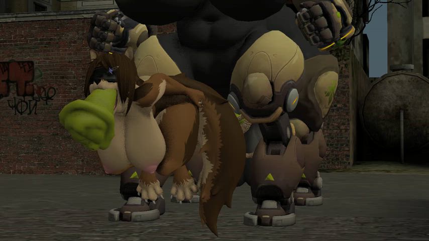 animation furry hermaphrodite gif