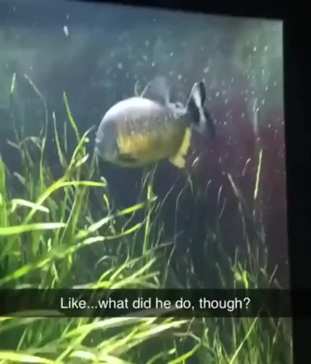 The tides have turned..