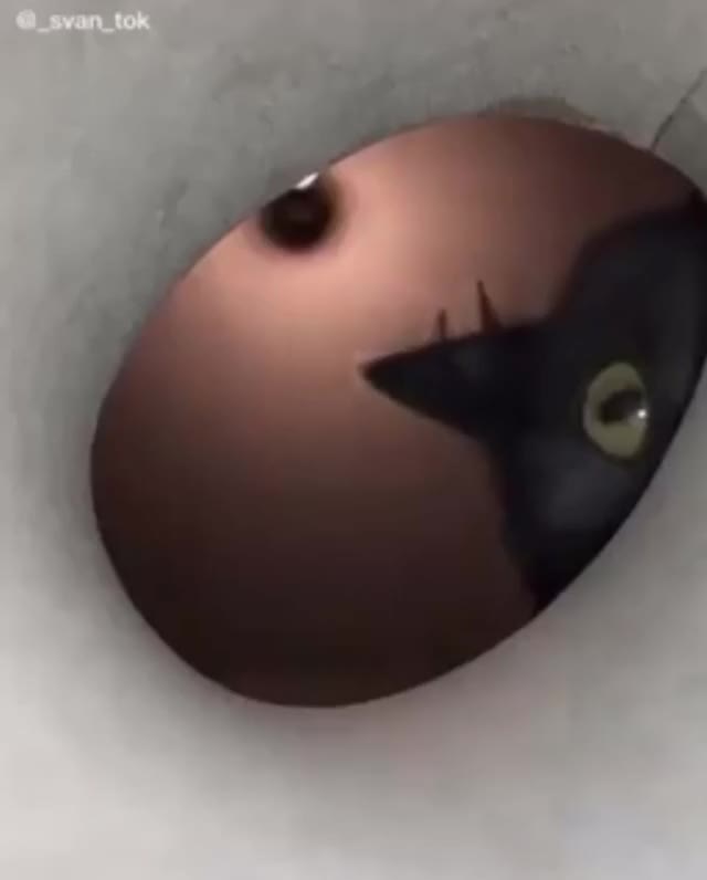 FullSizeRender