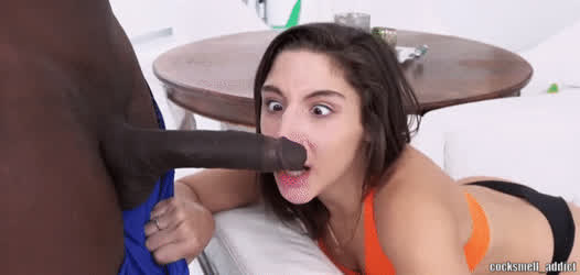 See, Smell, Suck, Fuck