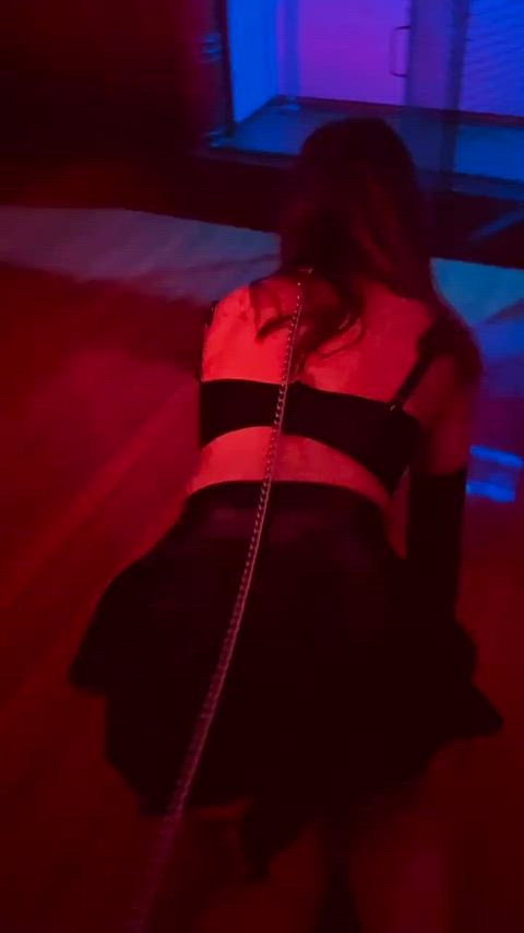 bdsm domination kitten submissive gif