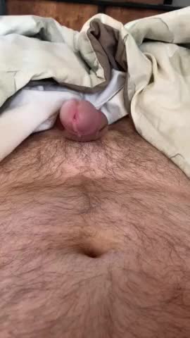 Average penis leaking precum