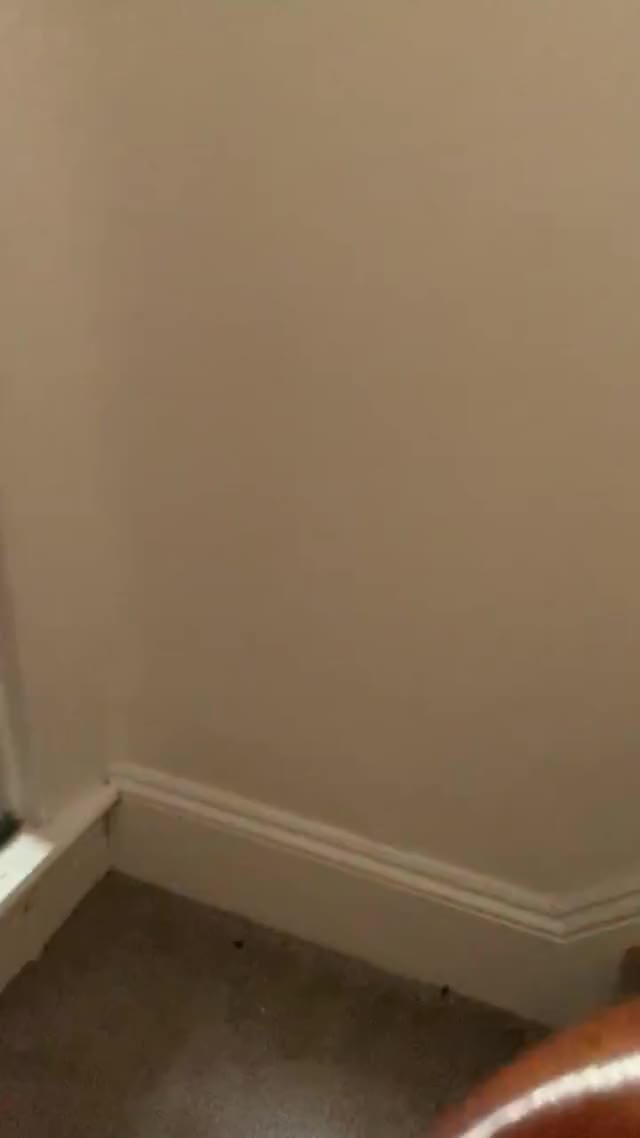 Hotwife wanted a few minutes alone. I came up and found this.