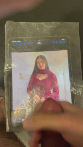 cock pakistani tribute gif