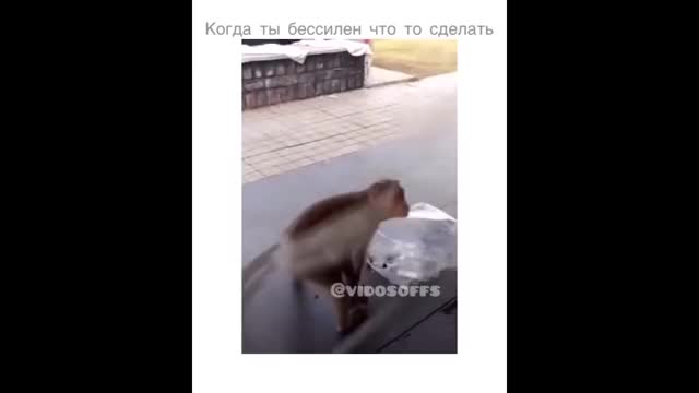 ЧУДИКИ ИЗ СОЦСЕТЕЙ ? ЛЮТЫЕ ПРИКОЛЫ #121
