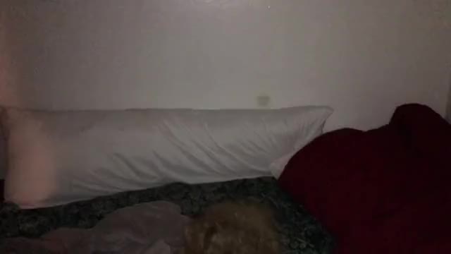 Wet Pussy Teen Milks BBC