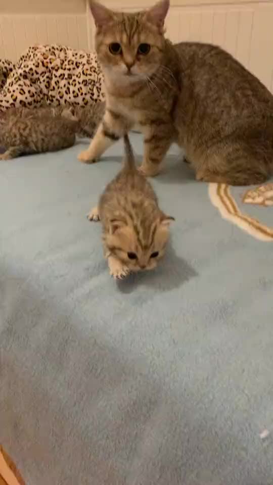 Mum watches the little one explore attentively