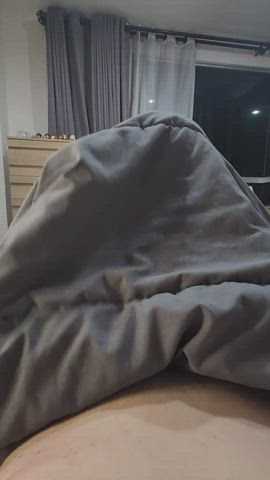 Surprise under the blanket