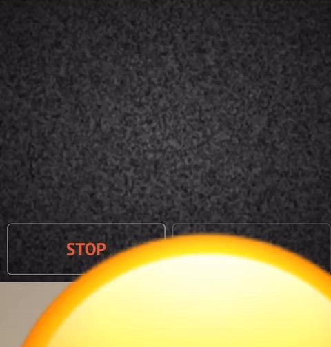cockflash flashing webcam gif