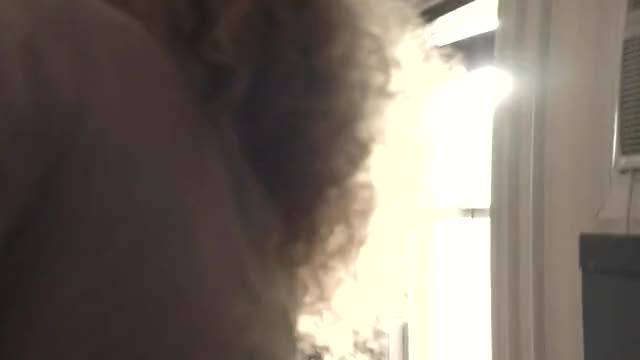 Juno Temple - One Percent More Humid CBCA 1mp4 Porn GIF by CBCA | RedGIFs