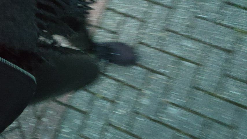 Exhibitionist Public Voyeur gif