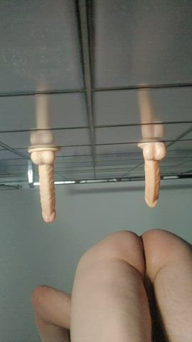Anal Ass Dildo Gay gif