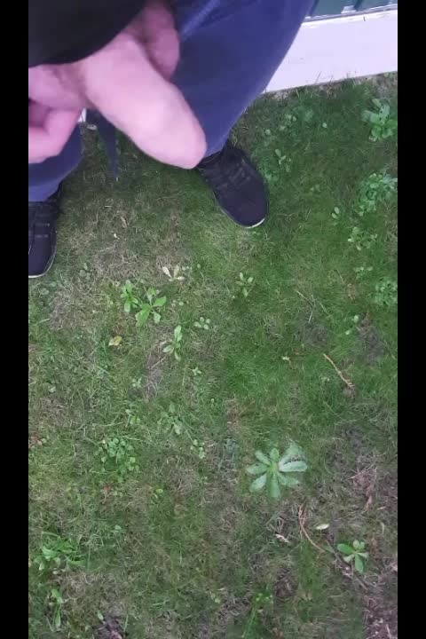 A litte pee in the garden
