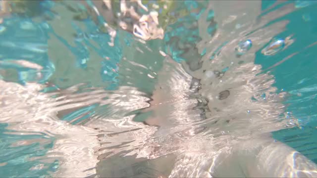 Project 10-21(1) 4K