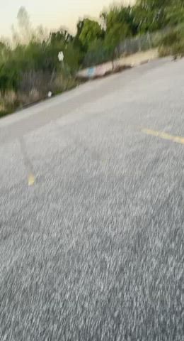 beware of snakes