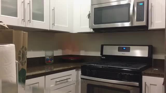 Cat burglar caught on hidden camera