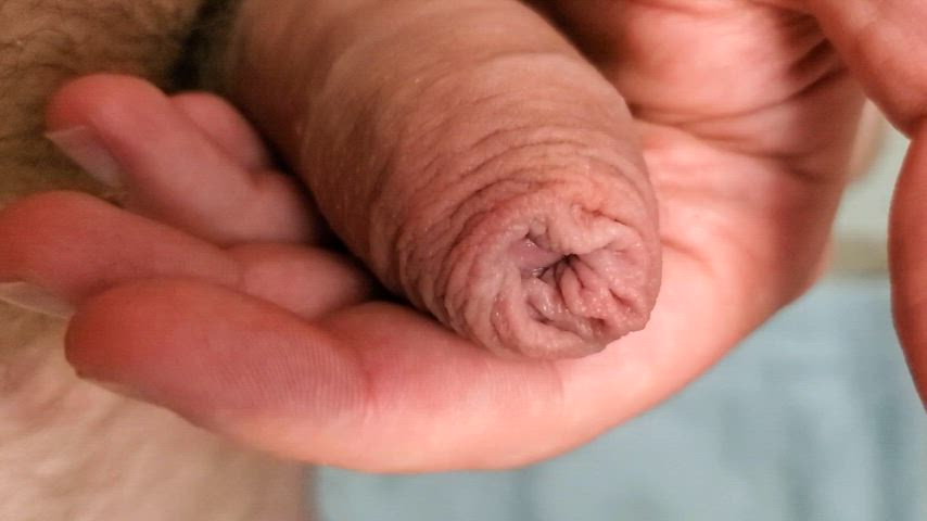 Any chubs mind slurping on foreskin?