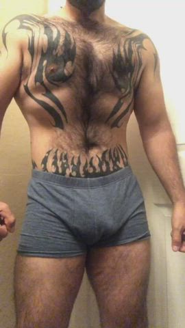 bear hairy legs gif