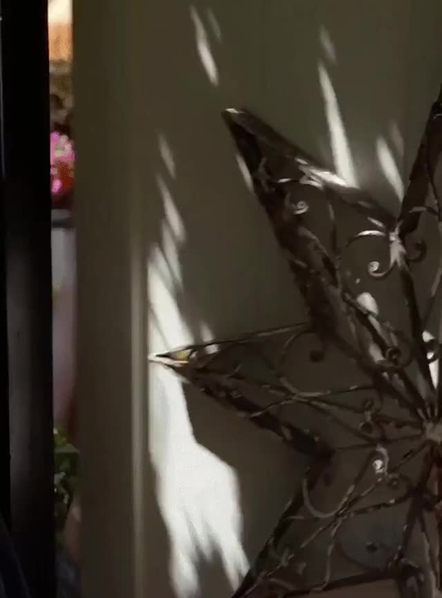 Californication S06E05 Meghan Falcone as Shari (Topless Scenes) ENHANCED 1080p