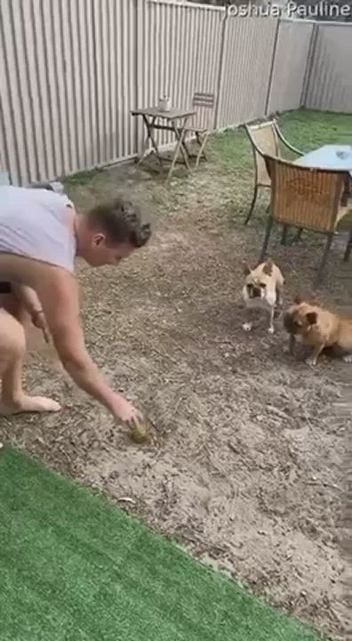 Animation Lola Myluv r/NSFWFunny gif