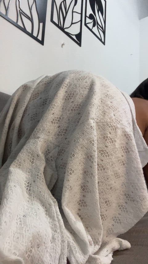 ass big ass latin latina latino thick-booty gif