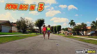 Aliya Wolf Amber Elise Anna Quinn gif