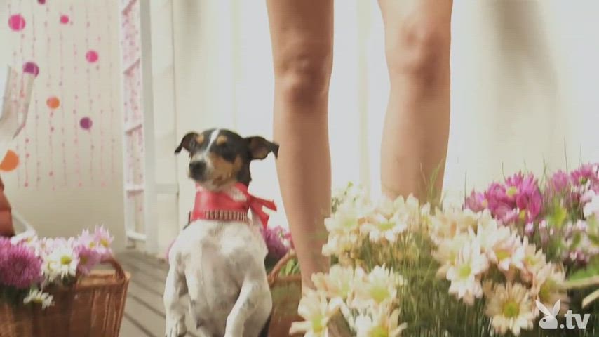 photoshoot playboy topless gif