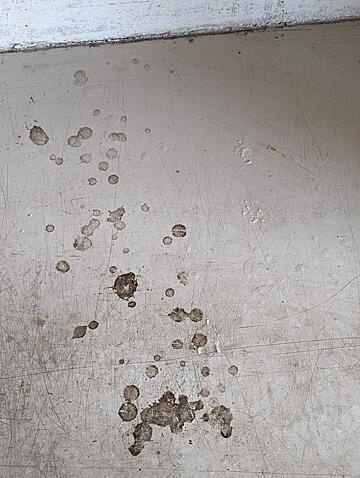 Two loads under my work bench