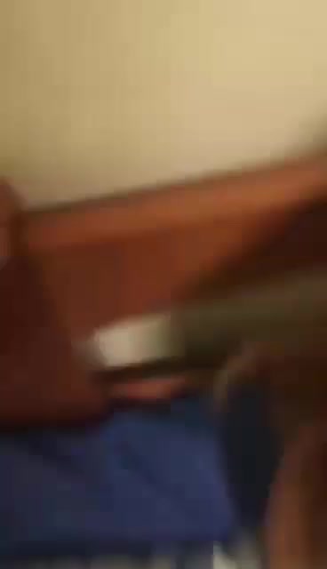 amateur cumshot