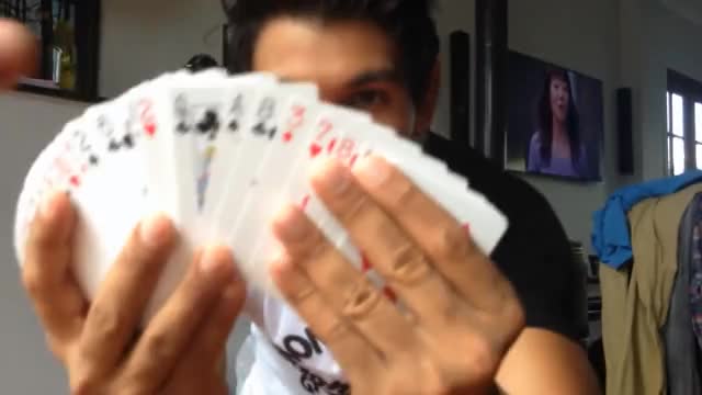 DOG PERFORMS MAGIC TRICK