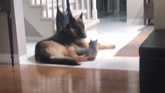 No, I wasn’t cuddling with the dog! Nope, never happened.