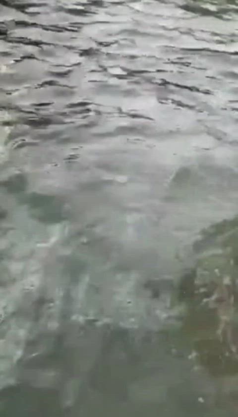 Pee Piss Bikini Candid Porn GIF by mypeejournal