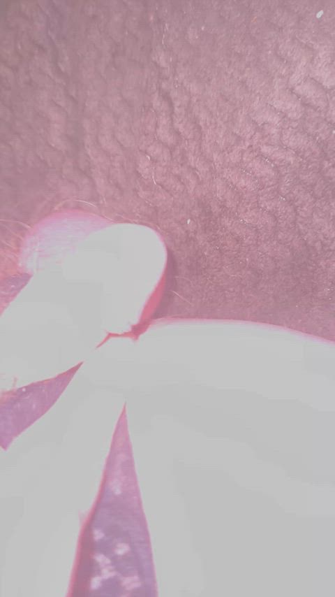 cock hairy cock small cock gif