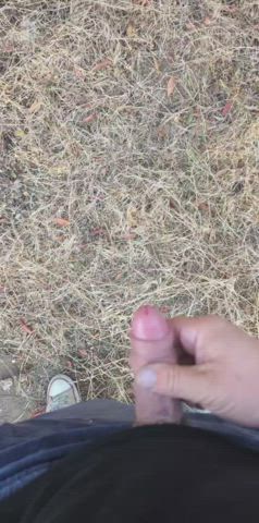 Cock Cum Cumshot Jerk Off Outdoor Penis Public gif