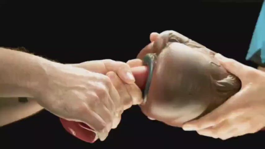 fantasy toys fleshlight knot sex toy toy gif