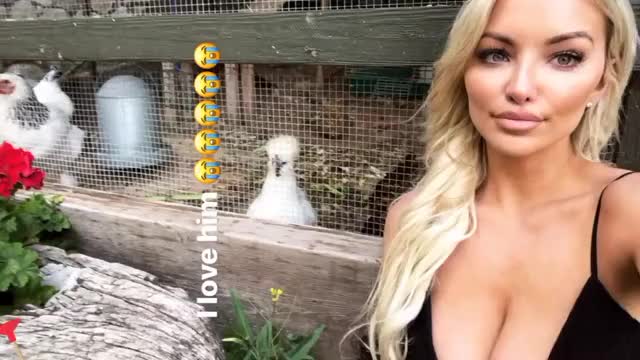 Lindsey Chicken