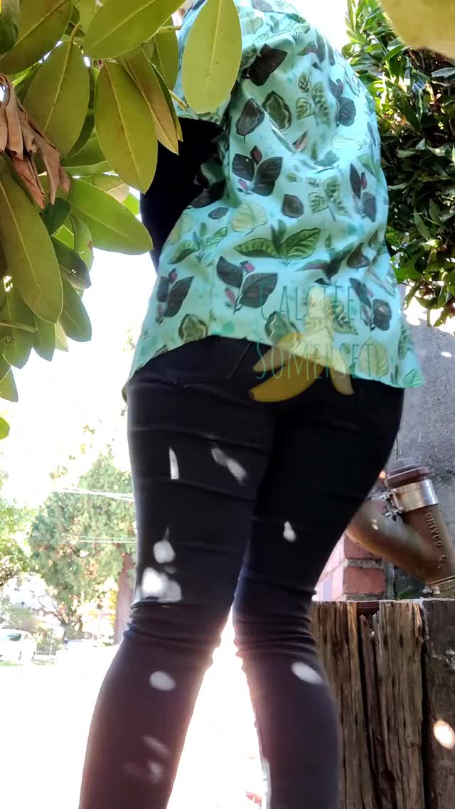 Public ass and pussy flash