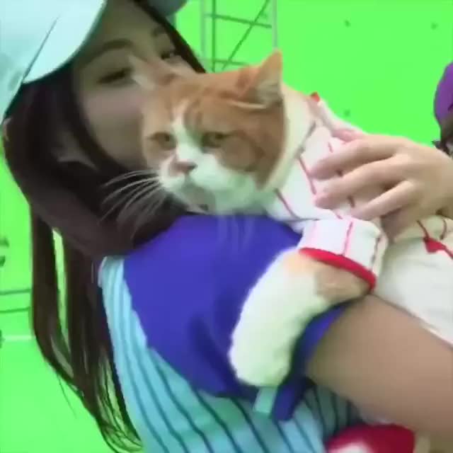 Tzuyu Compilation