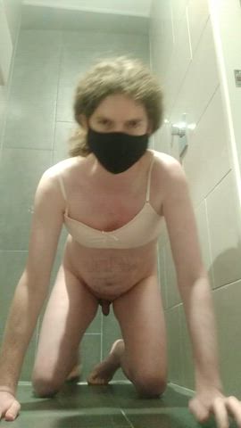 Pissing Puppy Trans gif