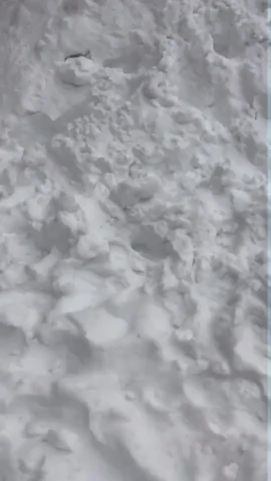  #tictokindia #neelimatictok #love #snow #tamil nanbargalukaga