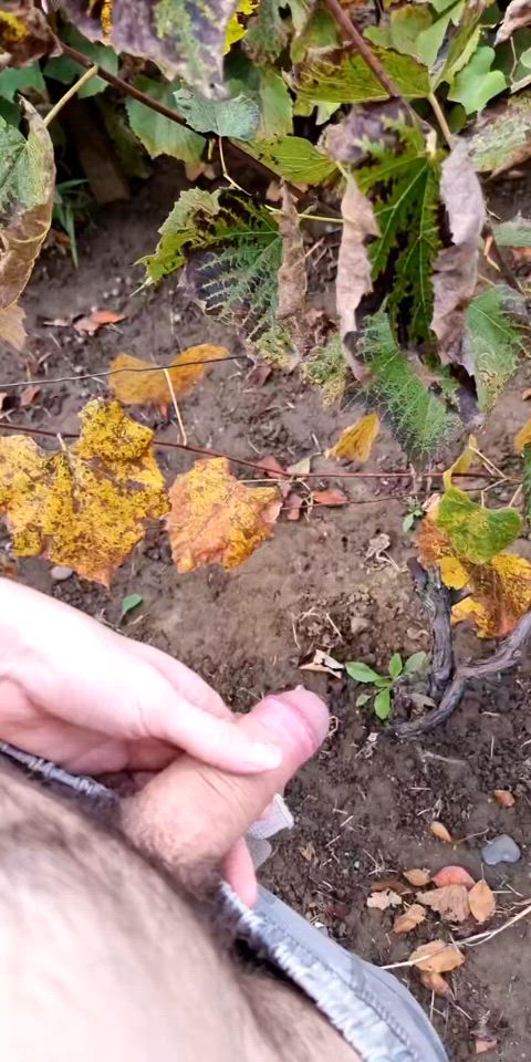 amateur big dick cock gay homemade jerk off male masturbation pov public solo gif