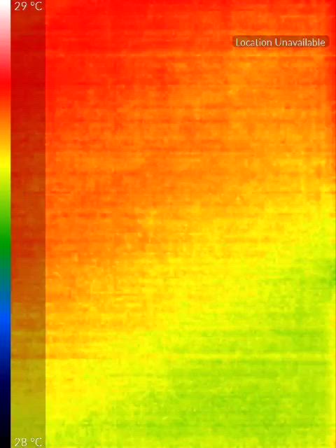 (OC) Having fun with Thermal Camera