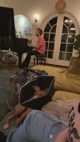 Celebrity Boobs Cleavage gif