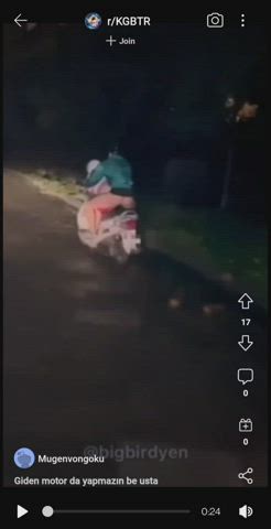 Doggystyle Public Sex gif