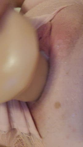 creampie dildo pussy gif