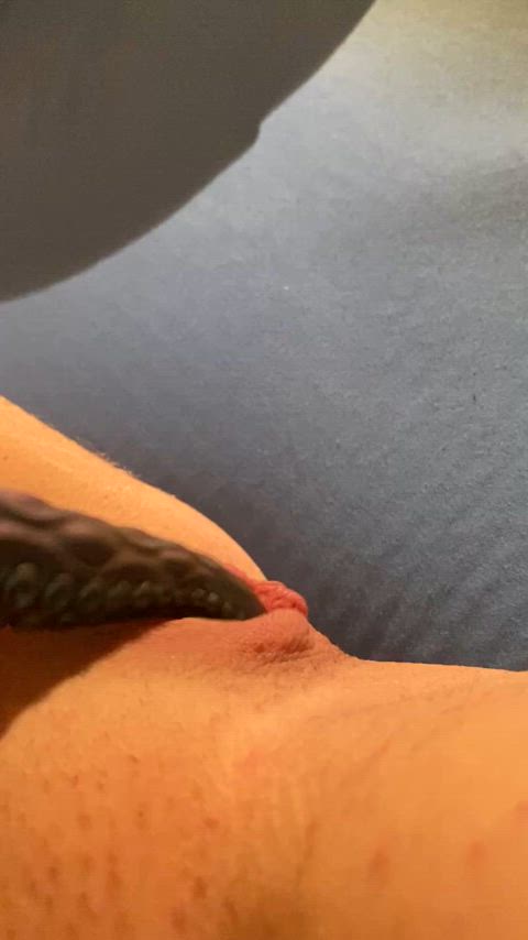 clit clit rubbing masturbating nsfw pussy sex toy solo tentacles vibrator gif