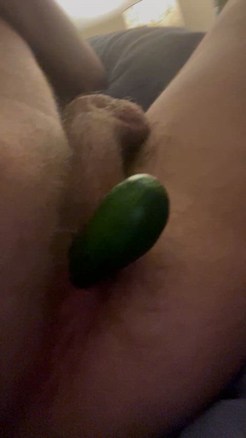 anal cucumber solo gif