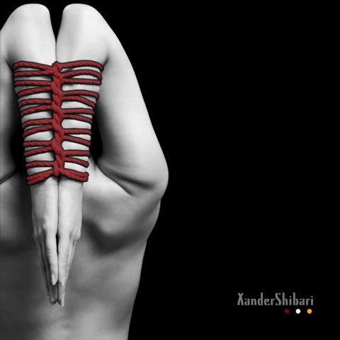 art bondage nude art rope play shibari gif